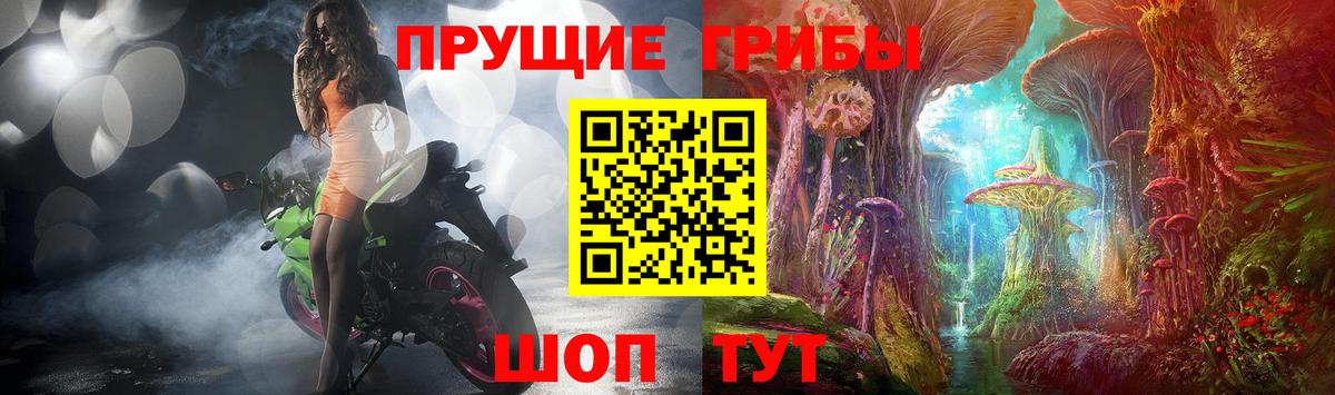 Галлюциногенные грибы Psilocybe  Вход с VPN  Чебоксары  Псилоцибиновые грибы Cubensis 