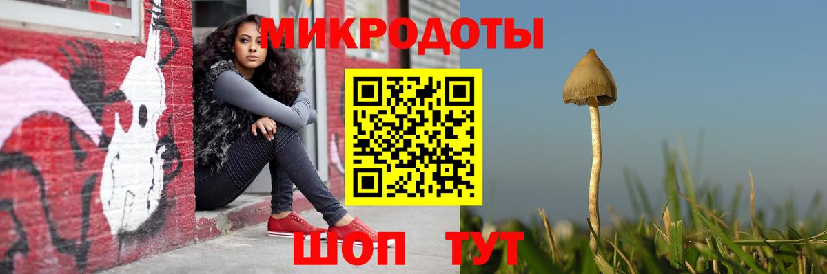 Псилоцибиновые грибы Magic Shrooms Чебоксары